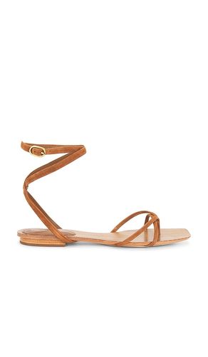 SANDALES ALLEGRA en . Taille 6. Also en 6.5, 7.5, 8, 8.5 - Veronica Beard - Modalova