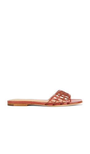 Maris Jelly Sandal en . Taille 5. Also en 5.5, 6, 6.5, 7, 7.5, 8 - Veronica Beard - Modalova