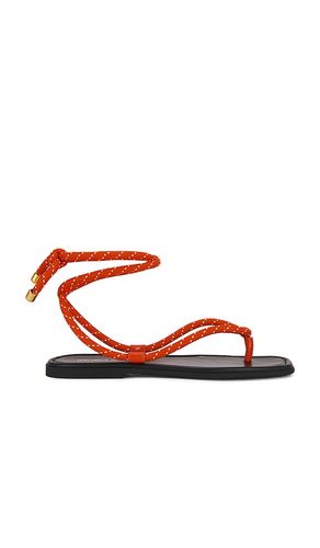 SANDALES CARMINA CORD en . Taille 7. Also en - Veronica Beard - Modalova