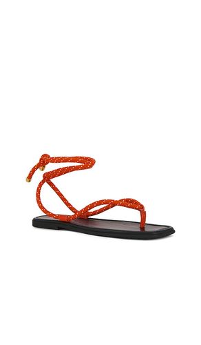 SANDALES CARMINA CORD en . Taille 5. Also en 7, 9 - Veronica Beard - Modalova