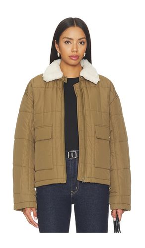 BLOUSON NOA en . Taille L. Also en M, S, XS - Velvet by Graham & Spencer - Modalova