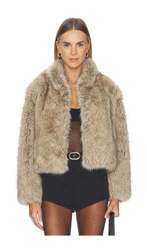 MANTEAU NOELLE en . Taille M. Also en S, XS - Velvet by Graham & Spencer - Modalova
