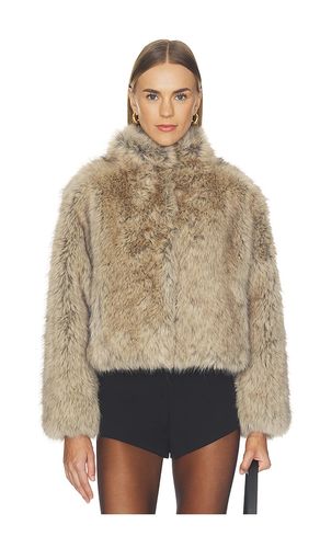 MANTEAU NOELLE en . Taille M. Also en S, XS - Velvet by Graham & Spencer - Modalova