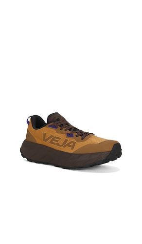 SNEAKERS HARPIE en . Taille 40. Also en 41, 42, 43, 44, 45, 46 - Veja - Modalova