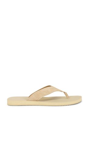 SANDALES FIJI en . Taille 8. Also en 9, 10, 11, 12 - Vince - Modalova