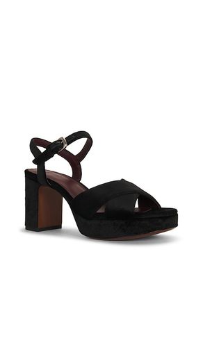 SANDALES ERICKA en . Taille 6. Also en 7, 8, 9, 10 - Vince - Modalova