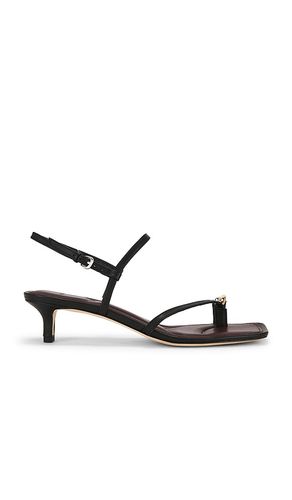 ESCARPINS POLLI KITTEN en . Taille 6. Also en 6.5, 7, 8.5 - Vince - Modalova