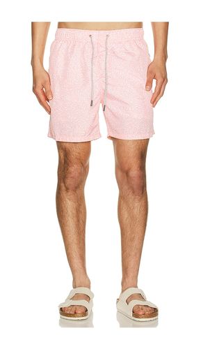 Ponji Swim Volleys en . Taille L. Also en M, S, XL/1X, XXL/2X - Vintage Summer - Modalova