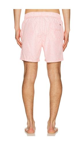 Ponji Swim Volleys en . Taille L. Also en M, S, XL/1X, XXL/2X - Vintage Summer - Modalova