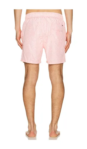 Ponji Swim Volleys en . Taille L. Also en S, XL/1X, XXL/2X - Vintage Summer - Modalova
