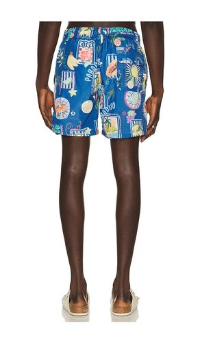 Ponji Swim Volleys en . Taille S. Also en M, L, XXL/2X - Vintage Summer - Modalova
