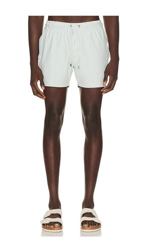 Stripe Knit Shortie Volley en ,. Taille L. Also en S, XXL/2X - Vintage Summer - Modalova