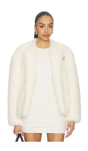 BLOUSON en . Taille S. Also en M, L - WE11DONE - Modalova