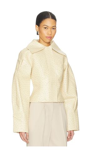 BLOUSON OLSEN OSTRICH en . Taille L. Also en - Yellow The Label - Modalova