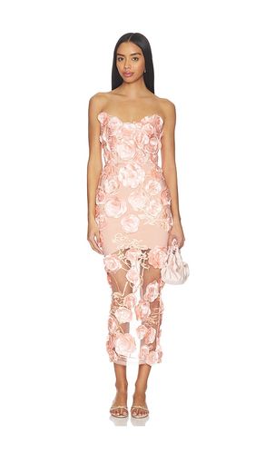 ROBE DREAM OF THAT en . Taille 10. Also en 12 - Zhivago - Modalova