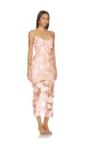 ROBE DREAM OF THAT en . Taille 0. Also en 10, 12 - Zhivago - Modalova