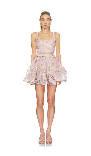 ROBE THE BERTOLINI en . Taille 4. Also en 6, 8, 10, 12 - Zhivago - Modalova