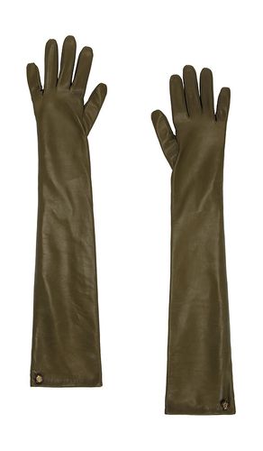 GANTS LEATHER LONG en . Taille S/M. Also en M/L - Zimmermann - Modalova