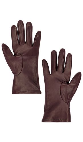 GANTS LEATHER en . Taille S/M. Also en M/L - Zimmermann - Modalova