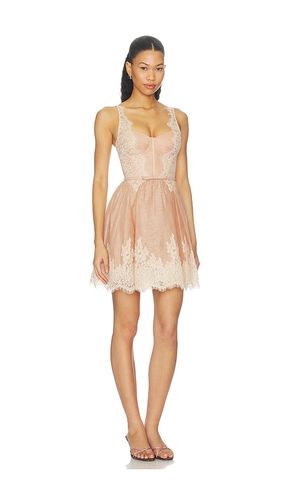 ROBE VALIANT LACE TRIM MINI en . Taille 0/XS. Also en 1/S, 2/M, 3/L - Zimmermann - Modalova