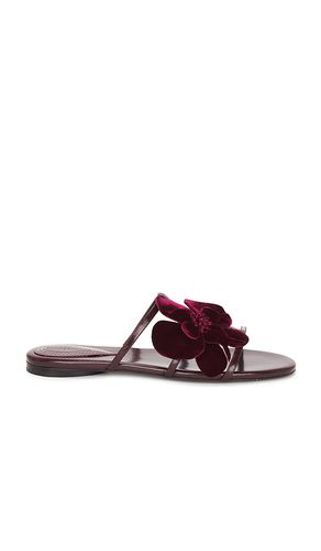 NU-PIED ORCHID en . Taille 36. Also en 37 - Zimmermann - Modalova