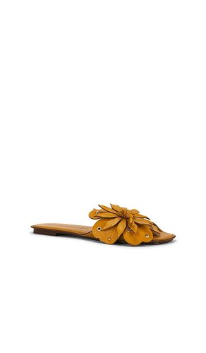 CHAUSSURES BRIGHTSIDE SLIDE en . Taille 36. Also en 37, 38 - Zimmermann - Modalova