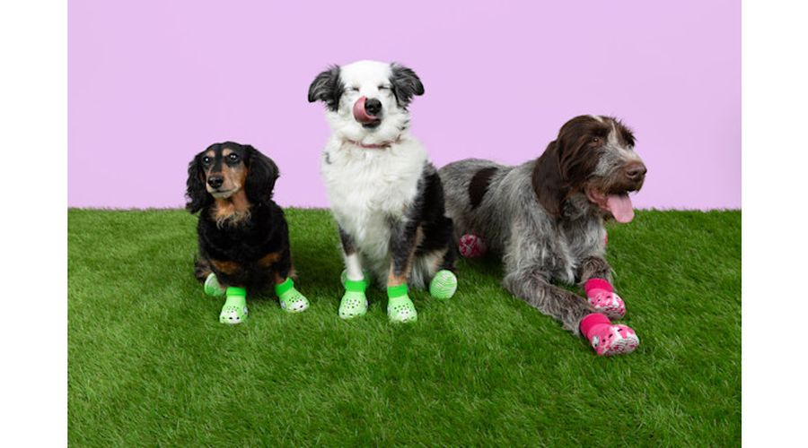 Pet Boots Bottes Unisex Green Slime L - Crocs - Modalova