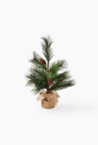Mini sapin dans pot, H40cm, en jute et plastique - MONOPRIX - Modalova