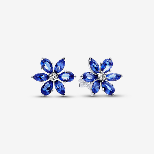 Clous d’Oreilles Herbier Scintillant - Pandora - Modalova