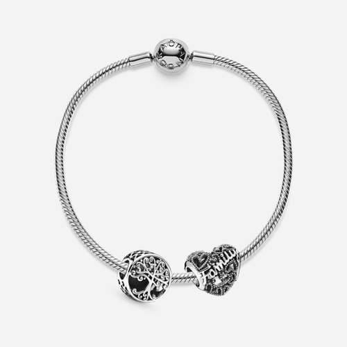 Coffret Cadeau Bracelet Forever Family Moments - Pandora - Modalova