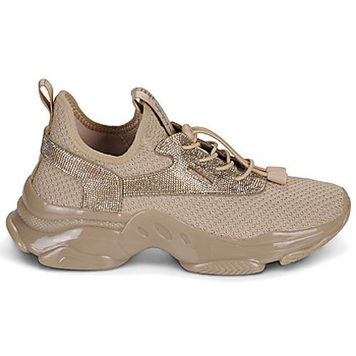 Baskets basses MATCH RE - Steve Madden - Modalova