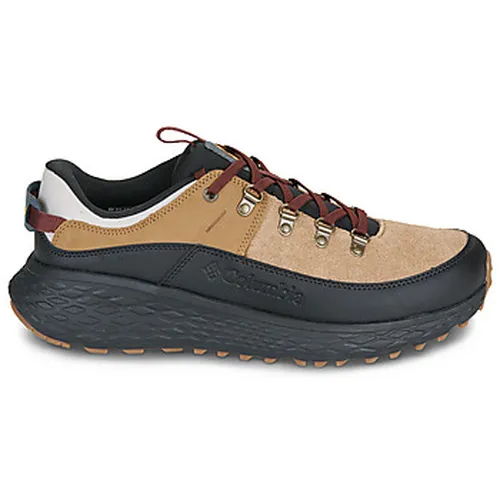 Chaussures Columbia TERRASTRIDE BC - Columbia - Modalova