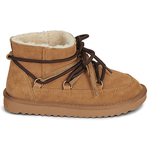Boots D.Franklin 426 NORDIC LITE - D.Franklin - Modalova