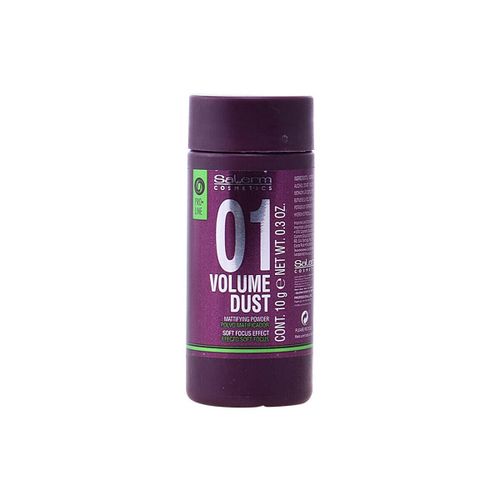 Coiffants & modelants Volume Dust Matifying Powder - Salerm - Modalova