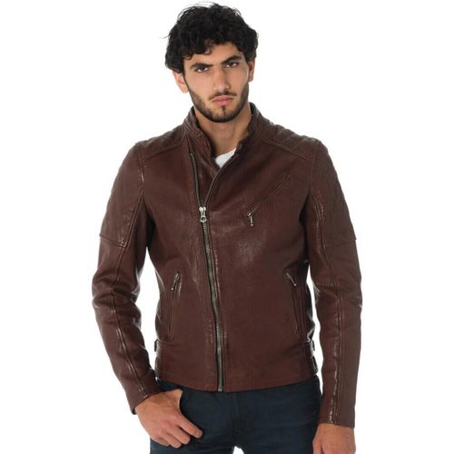 Veste TRUCKSTON COW VEG BRANDY - Daytona - Modalova