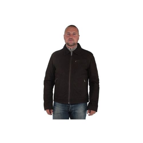 Blouson Blouson Oliveira Cow Madison en cuir ref_d - Daytona - Modalova