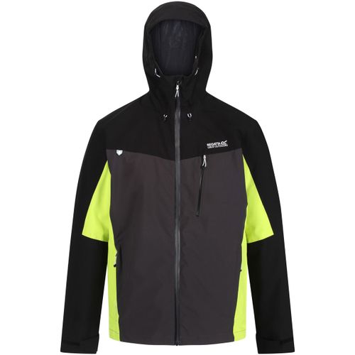 Blouson Regatta Birchdale - Regatta - Modalova