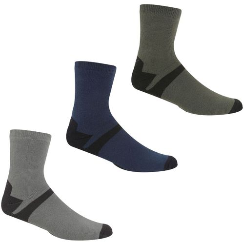 Chaussettes Regatta Lifestyle - Regatta - Modalova