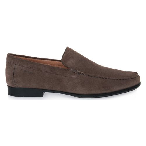 Mocassins SUMMER II 1 VELOUR - Stonefly - Modalova
