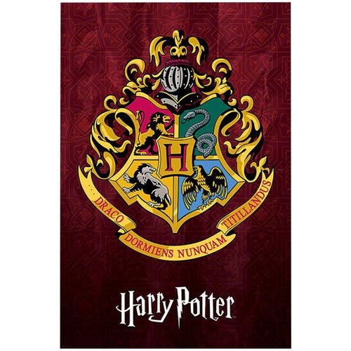 Affiches, posters TA4109 - Harry Potter - Modalova