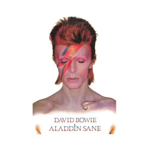 Affiches, posters TA8336 - David Bowie - Modalova