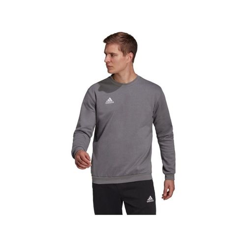 Sweatshirts adidas Entrada 22 - adidas - Modalova