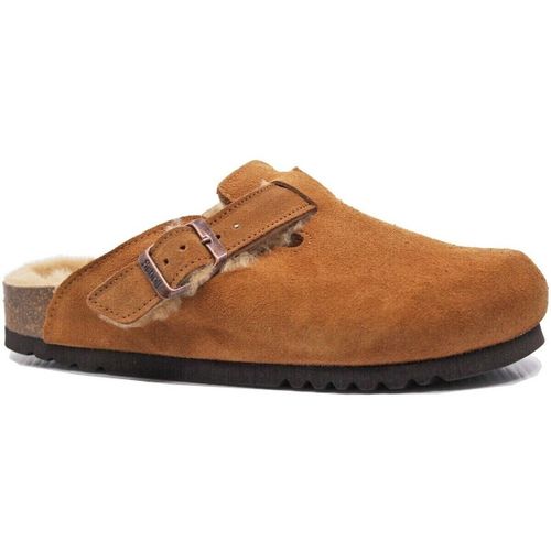 Chaussons Femme Plus Scholl mules - Femme Plus - Modalova