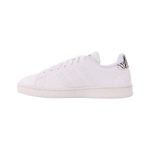 Baskets basses adidas Advantage - adidas - Modalova