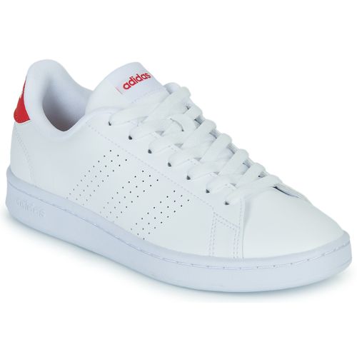 Baskets basses adidas ADVANTAGE - adidas - Modalova