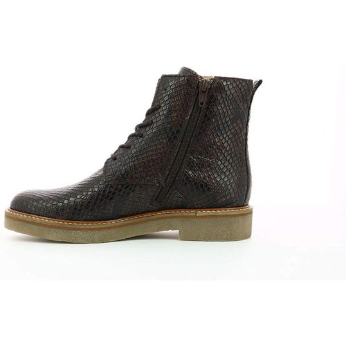 Bottines Oxigeno Multi, Bottillons - Kickers - Modalova