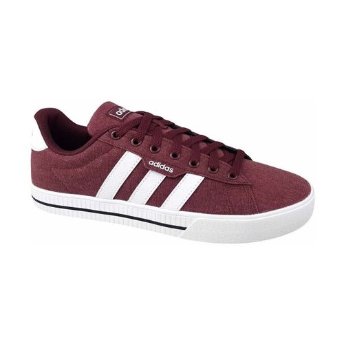 Baskets basses adidas Daily 30 - adidas - Modalova