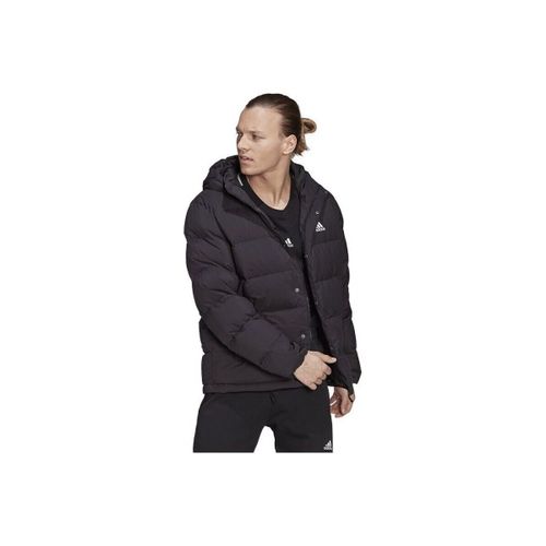 Blouson adidas Helionic - adidas - Modalova