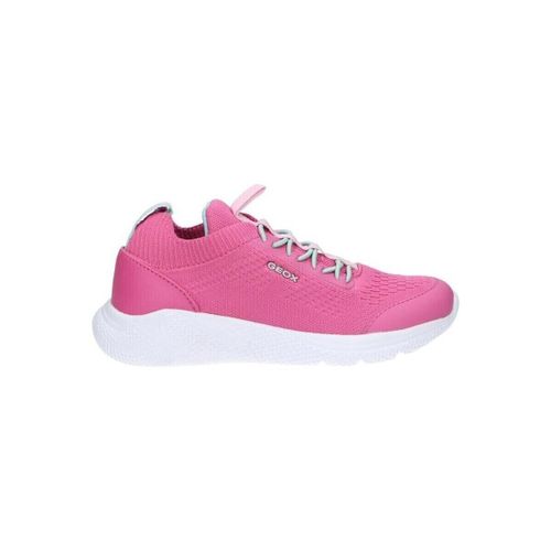 Chaussures J25FWB 0006K J SPRINTYE - Geox - Modalova
