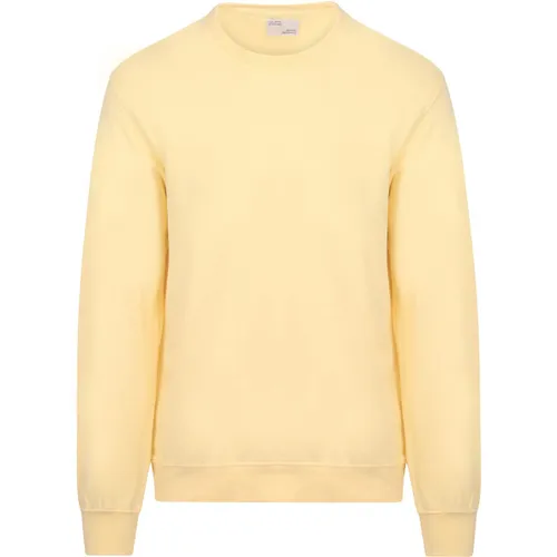 Sweat-shirt Pull Jaune - Colorful Standard - Modalova
